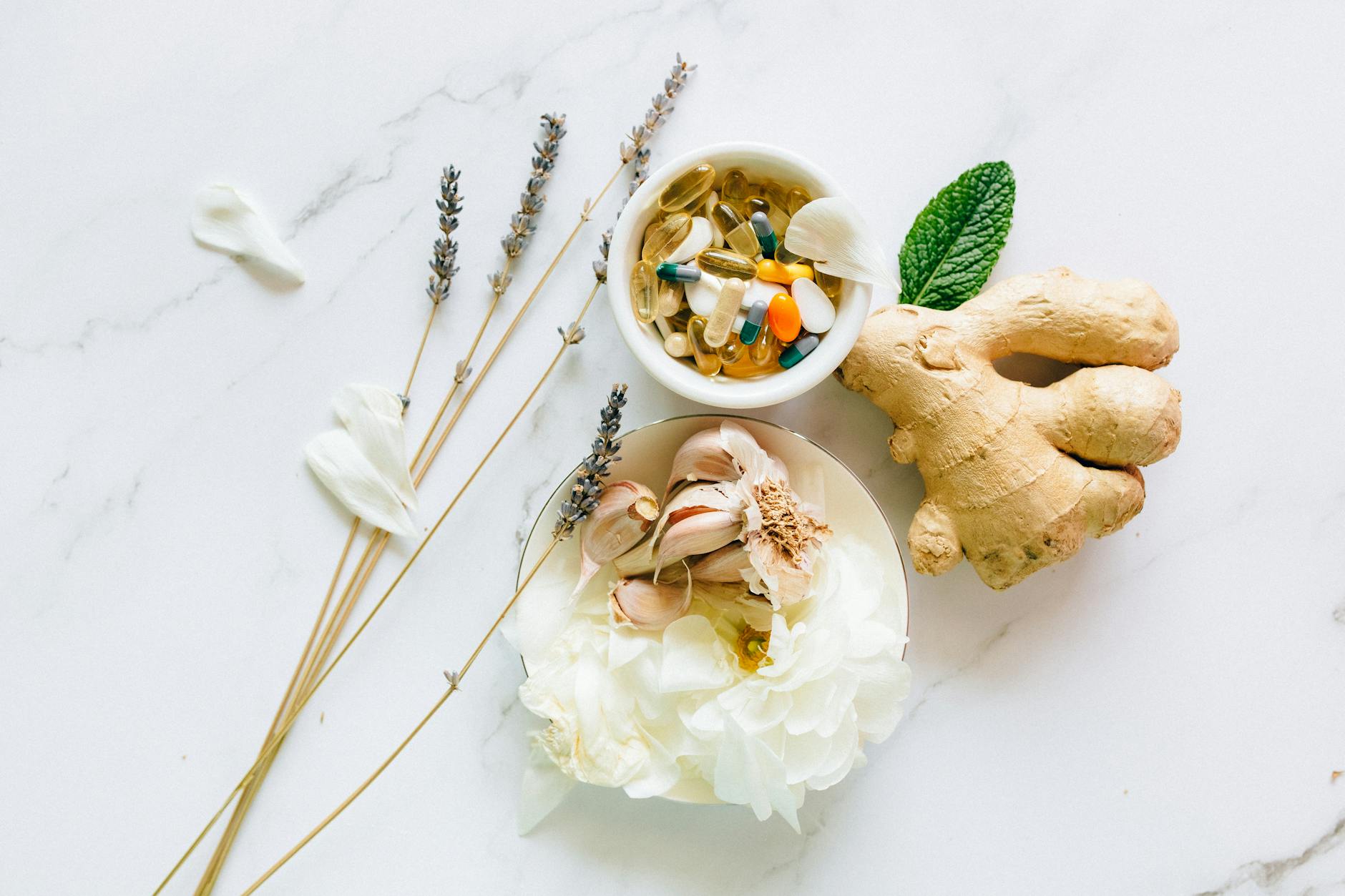 Cercetări Științifice pe Ingredientele Naturale pentru Sănătatea Digestivă